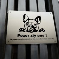 Pozor pes
