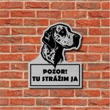 Tabuľka Pozor pes Dalmatín 2