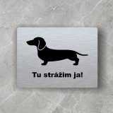 Tabuľka Pozor pes Jazvečík