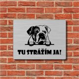 Tabuľka Pozor pes Anglický buldog