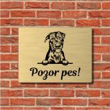 Tabuľka Pozor pes Írsky vlkodav
