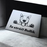 Tabuľka Pozor pes Bulteriér