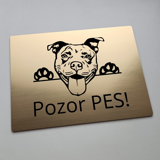 Tabuľka Pozor pes Pitbull cute