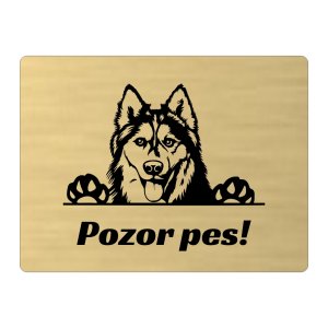 Tabuľka Pozor pes Husky