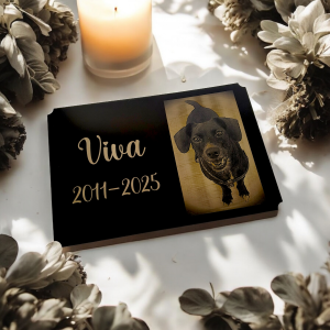Tabuľka na hrob zvieraťa V2