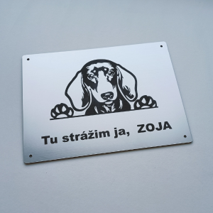 Tabuľka Pozor pes Jazvečík 2